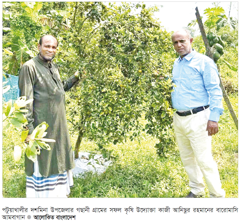 বারোমাসি আমে কৃষকের সুদিন বারোমাসি আমে কৃষকের সুদিন