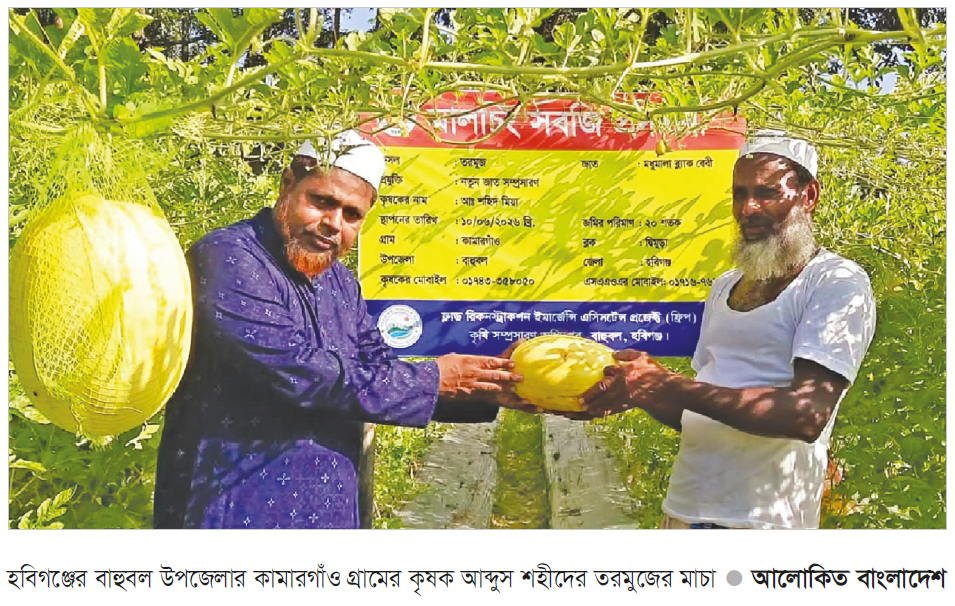 তরমুজ চাষে সফল কৃষক আব্দুস শহীদ তরমুজ চাষে সফল কৃষক আব্দুস শহীদ
