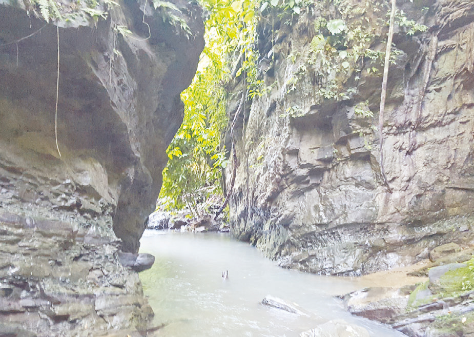 ঝরনার নাম তোজেংমা ঝরনার নাম তোজেংমা