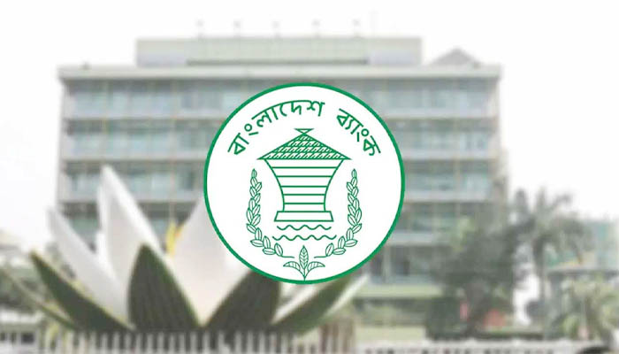 সাইবার নিরাপত্তাঝুঁকিতে বন্ধ বাংলাদেশ ব্যাংকের ওয়েবসাইট সাইবার নিরাপত্তাঝুঁকিতে বন্ধ বাংলাদেশ ব্যাংকের ওয়েবসাইট