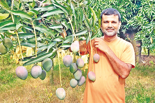 সোহেল রানার বরেন্দ্র অ্যাগ্রো পার্ক ও মিয়াওয়াকি বন সোহেল রানার বরেন্দ্র অ্যাগ্রো পার্ক ও মিয়াওয়াকি বন