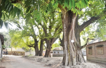 Qishloqda mast ruslar porno video