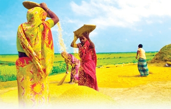 খাদ্য নিরাপত্তার চ্যালেঞ্জ ...