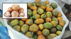 সুপারির গুণাগুণ  