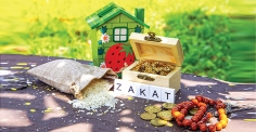 জাকাতের গুরুত্ব ও তাৎপর্য  