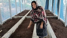 নাক সিটকানো উপেক্ষা করে গৃহবধূ জাসমা এখন সফল উদ্যোক্তা