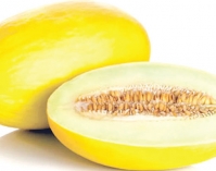 বাঙ্গির যত গুণ  