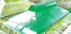 সোনারগাঁয়ে ইসলাম চর্চা  