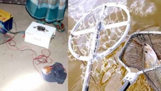 যমুনায় বিদ্যুৎ শক দিয়ে অবাধে চলছে মাছ নিধন