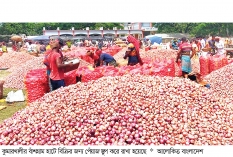 পেঁয়াজের উৎপাদন খরচ উঠছে না  