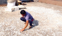 মাছের আঁশ যাচ্ছে চীন-জাপানে  