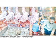 ঈদের আগেই বাড়ল গরু-মুরগি অপরিবর্তিত মাছের দাম  