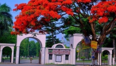 গণহত্যা দিবসে ১ মিনিটের ব্ল্যাকআউটে থাকবে ইবি