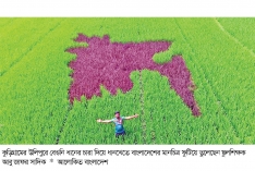 সবুজের ফসলে বাংলাদেশের মানচিত্র  