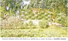 ‘গাছবাড়ি’ যেন গবেষণাগার   