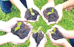 পরিবেশ রক্ষায় বনায়ন  