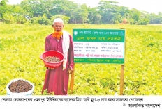 উচ্চ ফলনশীল বারি মুগ-৬ চাষে সাফল্য  