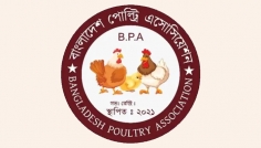 ডিম ও মুরগি উৎপাদন বন্ধের ঘোষণা প্রত্যাহার করলো বিপিএ