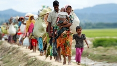 অন্তর্বর্তী সরকারের তৎপরতায় বৈশ্বিক আলোচনায় রোহিঙ্গা সংকট