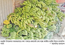 কলা পাকাতে মেশানো হচ্ছে বিষাক্ত কেমিক্যাল  