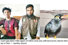বরিশালে যুবককে ১০ হাজার টাকা জরিমানা  