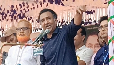 নির্বাচন নিয়ে সরকারের কথার স্টাইল ভাল না: বিএনপি নেতা হাবিব উন-নবী
