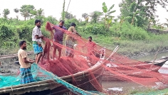 মধ্যরাতে মেঘনায় ইলিশ ধরতে নামবে জেলেরা