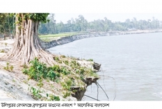ব্রহ্মপুত্রে বিলীন হচ্ছে বসতবাড়ি জমি  