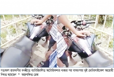 বনশ্রীতে অটোরিকশার ধাক্কার পর বাসচাপা  