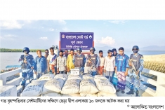 মিয়ানমারে ৬০০ বস্তা ইউরিয়া সার পাচারকালে আটক ১০  