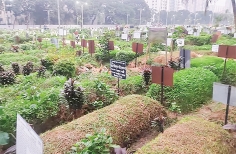 মাটিতে দাফনে বিজ্ঞান ও হিকমত  