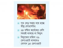 তীব্র গরমে লোডশেডিংয়ে অতিষ্ঠ জনজীবন  