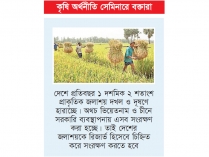বাজেটে কৃষির হিস্যা আরও বাড়াতে হবে  