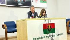 নির্বাচন কবে তা বিএনপির কাছে জানতে চেয়েছে রাশিয়া: আমীর খসরু