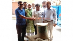 নীলফামারী খাদ্যগুদামে বোরো চাল ক্রয় অভিযান শুরু
