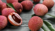 গলায় লিচুর বিচি আটকে শিশুর মৃত্যু