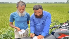 বিপিএইচ পোকার আক্রমণে দিশেহারা কৃষক