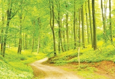 পরিবেশবান্ধব হোন  