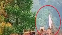 ‘সাদা পতাকা’ উড়িয়ে পালিয়েছে ভারতীয় সেনারা, দাবি পাকিস্তানের