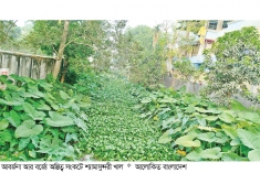 ১৫০ কোটি টাকা খরচেও মেলেনি সুফল  
