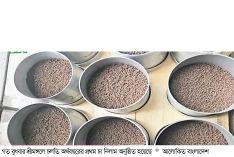 আন্তর্জাতিক নিলামকেন্দ্রে গ্রিন টি, ১৫০০ টাকা কেজিতে বিক্রি  