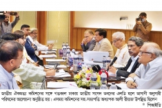 একজন ব্যক্তিই যেন ক্ষমতার কেন্দ্রীভূত হয়ে না যান : আলী রীয়াজ  