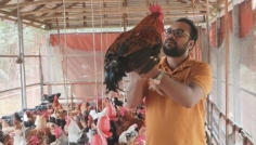 টাইগার মুরগির খামারে শামীমের বছরে আয় ২৭ লাখ