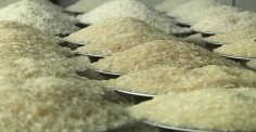 আরও কমল চালের দাম
