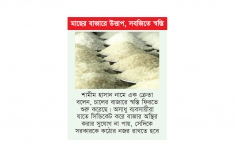 আরও কমল চালের দাম