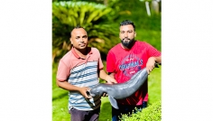 কক্সবাজার সৈকতে ভেসে এলো বিরল জাতের মরা পরপরইস