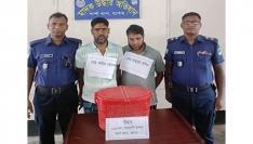 যশোরের শার্শায় বন্যপ্রাণী তক্ষকসহ ২ পাচারকারী আটক