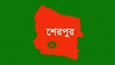 শেরপুরে পৃথক ঘটনায় জমজ দুই বোনসহ নিহত ৪