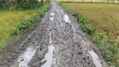 ভূরুঙ্গামারীতে রাস্তার বেহাল অবস্থায় চরম দুর্ভোগে এলাকাবাসী