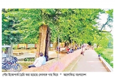 ঐতিহাসিক দেবদারু গাছ ঘিরে গড়ে উঠেছে পৌর ইকোপার্ক  
